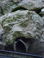 Worn gargoyle between tower and vestry wall.